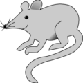 mouse simple happy mouse free clipart