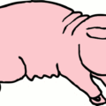 pig piggie free clipart