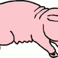 pig pink piggie free clipart