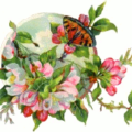 pink flowers butterfly free clipart