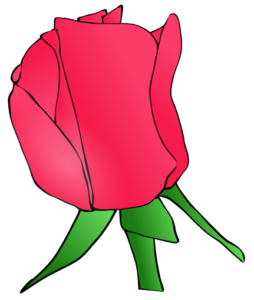 pink rosebud free clipart