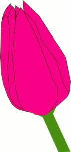 pink tulip free clipart