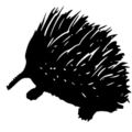 porcupine contor free clipart