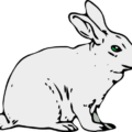 rabbit 1 free clipart