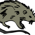 rat 1 free clipart