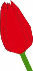 red tulip free clipart
