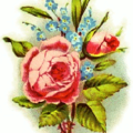 rose vignette free clipart