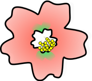 sakura free clipart