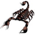 scorpion free clipart