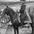 sherman on horseback free clipart