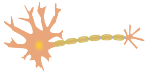 single neuron free clipart