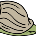 snail free clipart