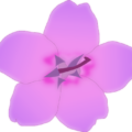 soft purple blossom free clipart