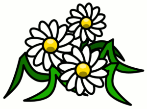 spiral daisies free clipart
