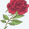 the rose free clipart