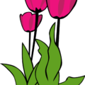 tulips free clipart