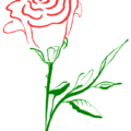 two tone rose free clipart