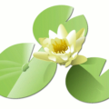 water lilly and lillypad free clipart