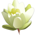 water lily free clipart