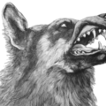 wolf wolf head free clipart