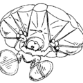 skydive cartoon bw free clipart